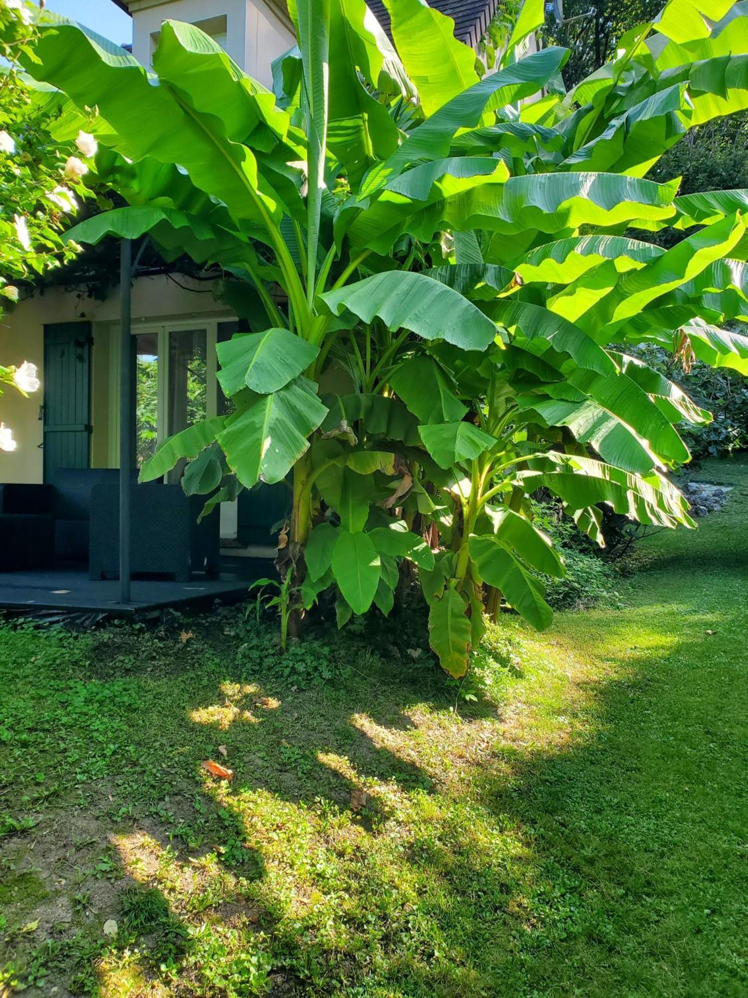 Belle Maison Sud Seine-Et-Marne روبيل المظهر الخارجي الصورة