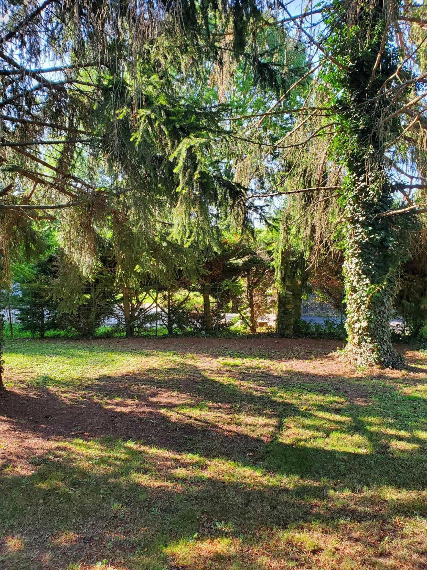 Belle Maison Sud Seine-Et-Marne روبيل المظهر الخارجي الصورة